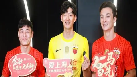 马延达助伯恩茅斯战平桑德兰，埃万尼尔松扳平比分