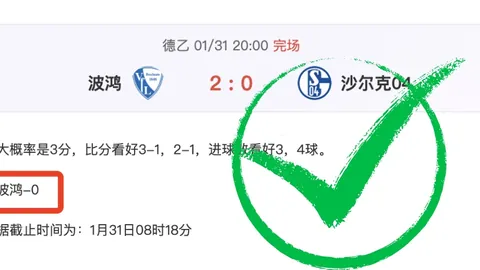 五连胜狂欢NBA近5期专家精选解密：黄蜂对热火前瞻